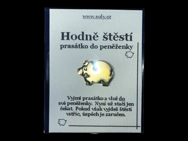 Prasátko pro štěstí do peněženky DÁREK